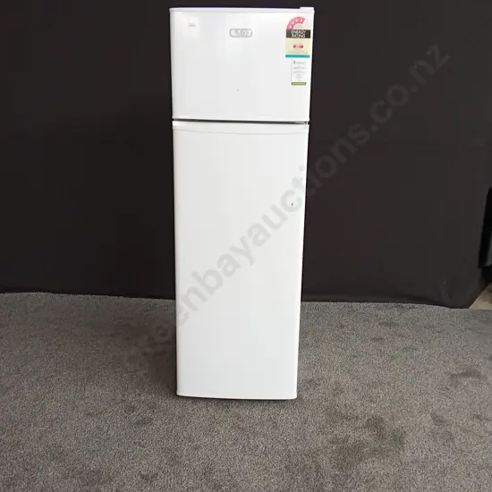 FISHER AND PAYKEL ELBA FRIDGE FREEZER