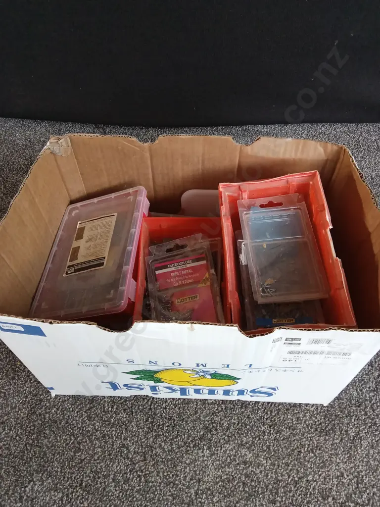 BOX OF CONTAINERS OF NAILS AND SCREWS Image 1++