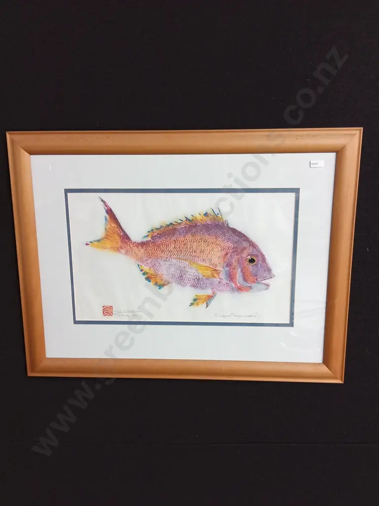 SNAPPER BY TE HENGA 1996 Image 1++