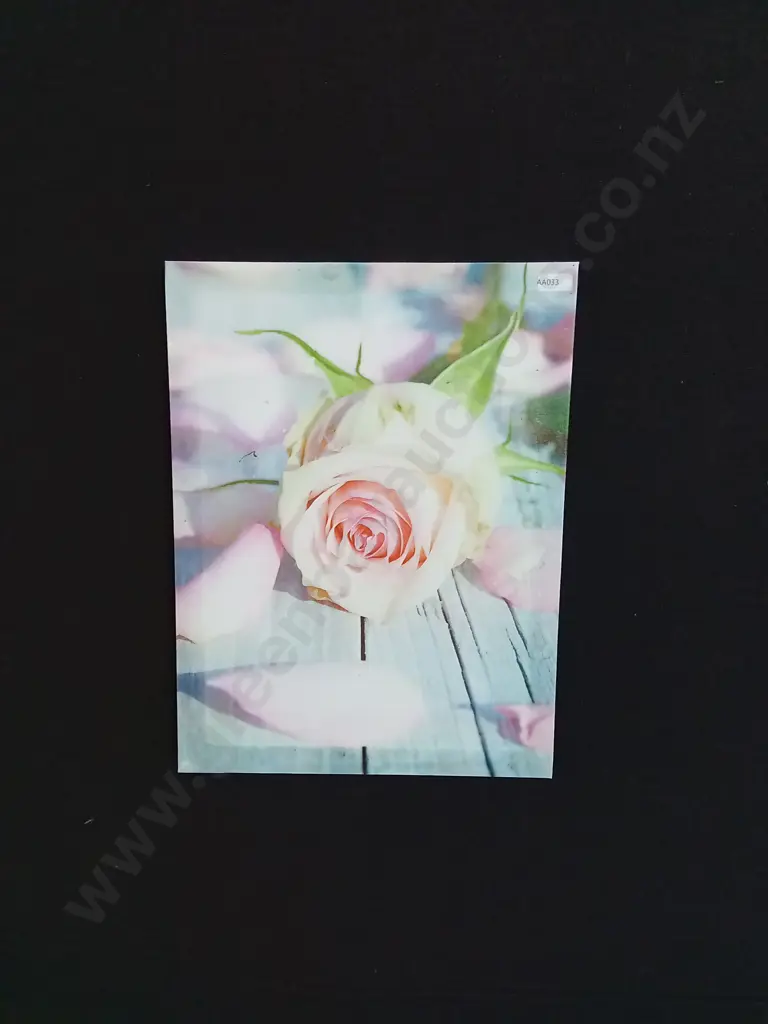 PHOTO OF A FLOWER ON CANVAS Image 1++