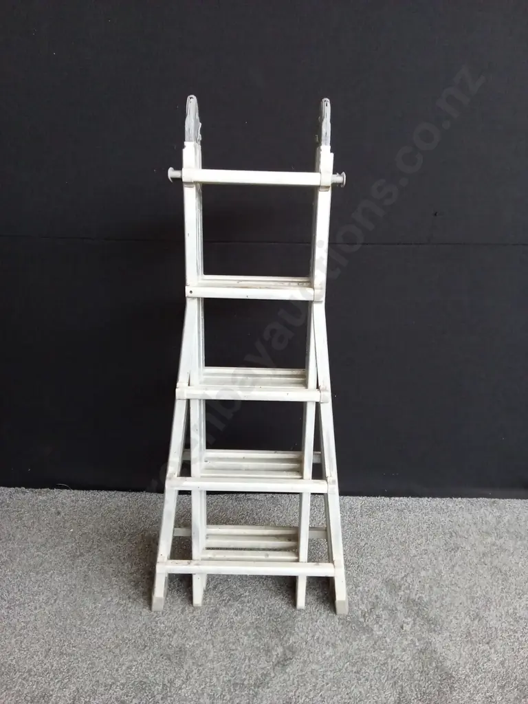LADDER Image 1++