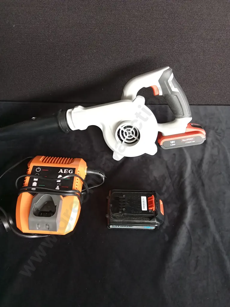 VICTA MINI VAC TESTED WORKING (NEEDS NEW BAG) PLUS TOOLPRO 18V BLOWER WITH BATTERY BUT NO CHARGER, AEG CHARGER Image 1++