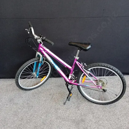 SHIMANO XTRAIN60 BIKE