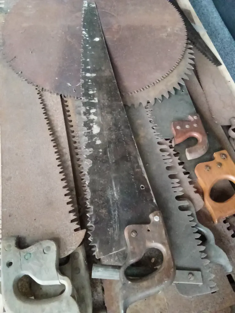 FULL PALLET OF ANTIQUE / VINTAGE HAND SAWS AND FORESTRY HAND SAWS & CROSSCUT SAWS OF VARIOUS TYPES Image 1++