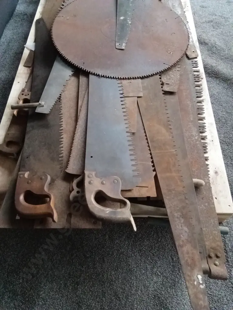 FULL PALLET OF ANTIQUE / VINTAGE HAND SAWS AND FORESTRY HAND SAWS & CROSSCUT SAWS OF VARIOUS TYPES Image 1++