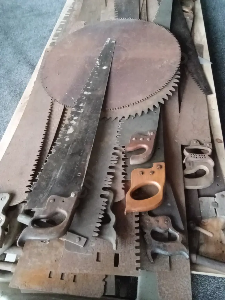 FULL PALLET OF ANTIQUE / VINTAGE HAND SAWS AND FORESTRY HAND SAWS & CROSSCUT SAWS OF VARIOUS TYPES Image 1++