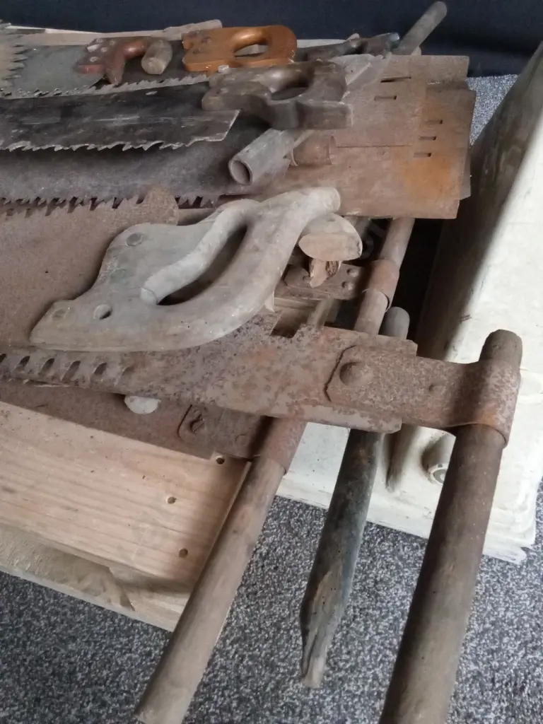 FULL PALLET OF ANTIQUE / VINTAGE HAND SAWS AND FORESTRY HAND SAWS & CROSSCUT SAWS OF VARIOUS TYPES Image 1++
