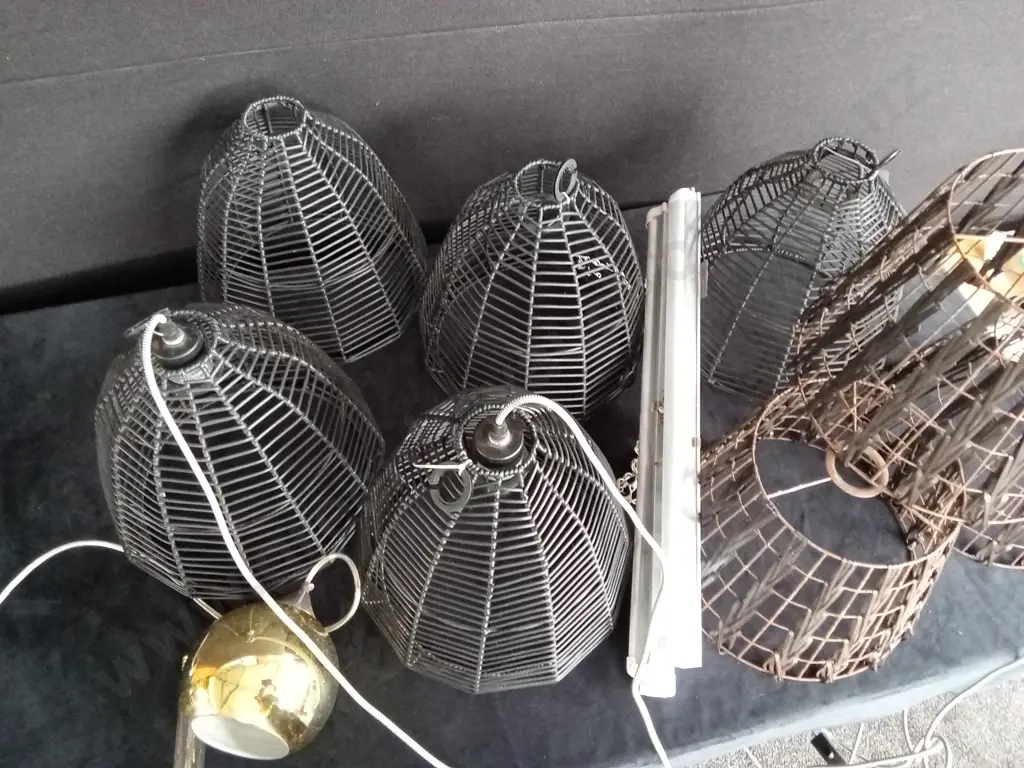 ASSORTED LIGHTS AND CARRY CASE Image 1++