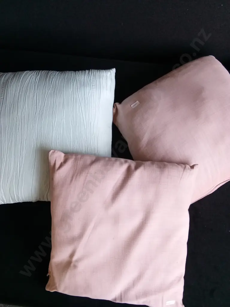 MIX OF THREE THROW PILLOWS Image 1++