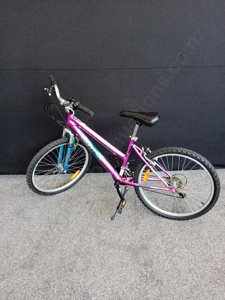 SHIMANO XTRAIN60 BIKE Image 1++