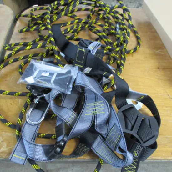 Harness