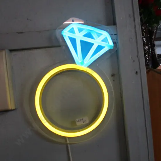 LED Neon Light