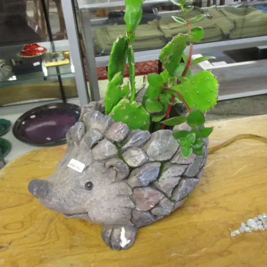 Hedgehog Planter
