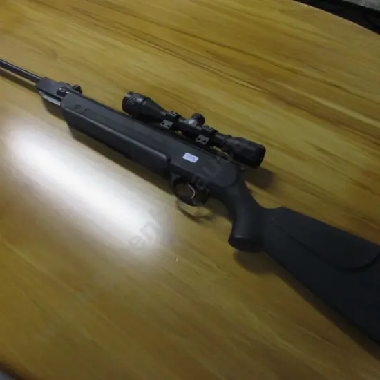 Slug Rifle with Sight