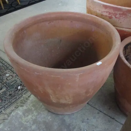 Larger Pot