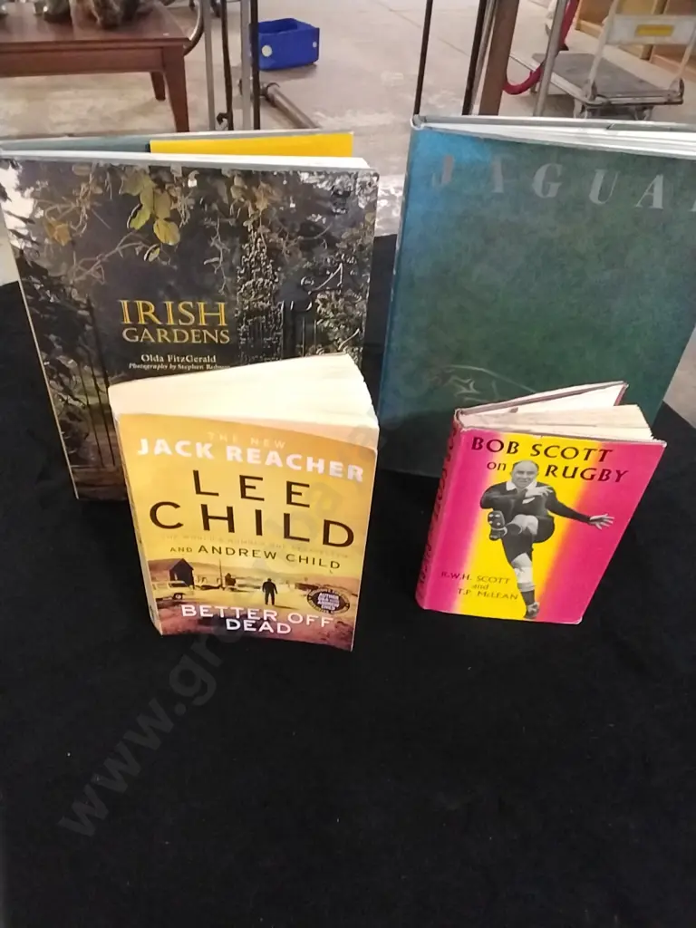 BOOKS - ASSORTED x 20 Image 1++