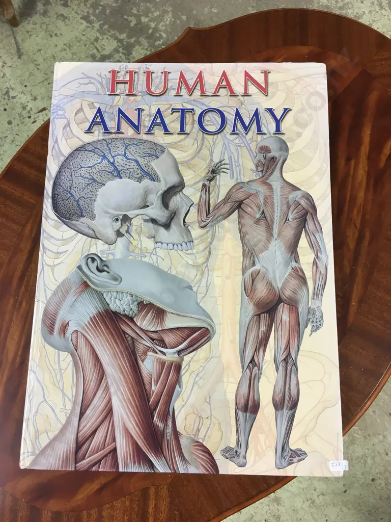 THE HUMAN ANATOMY BOOK Image 1++