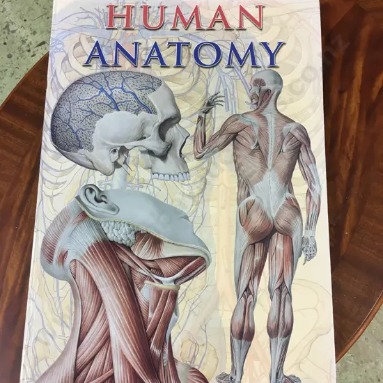 THE HUMAN ANATOMY BOOK