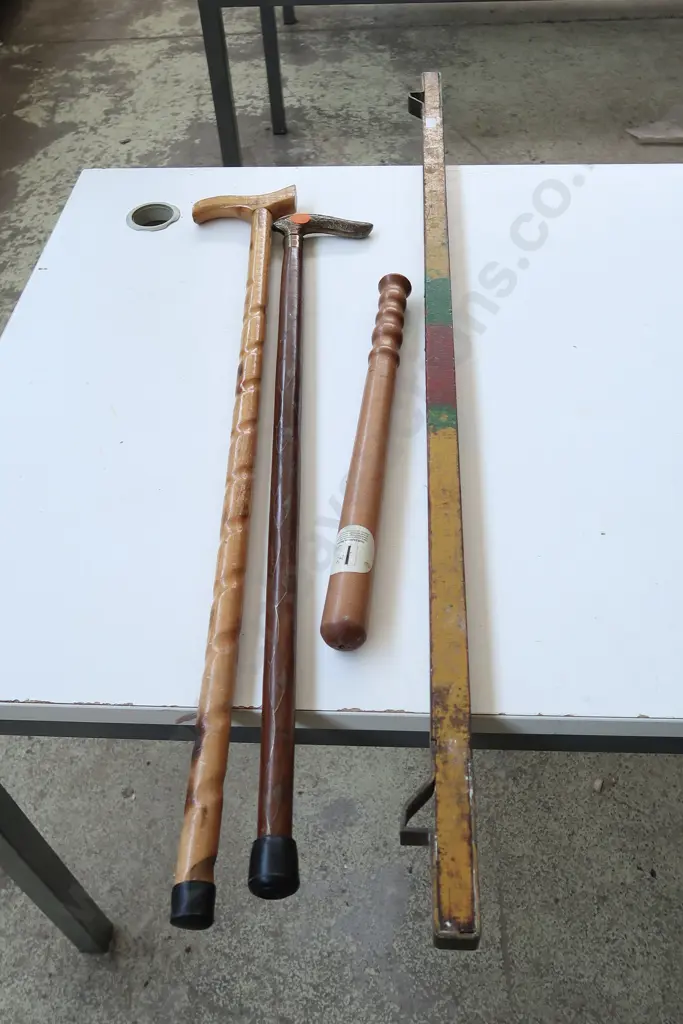 WALKING STICKS, BATON AND STEEL RAIL Image 1++
