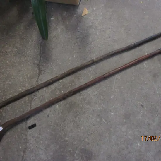 2 Walking Sticks