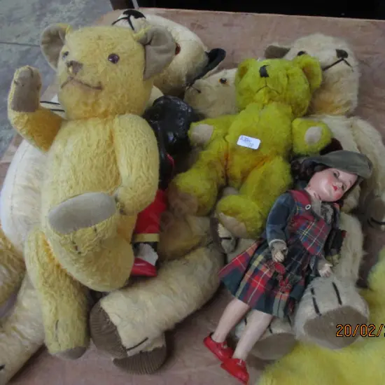 Teddybears and Dolls