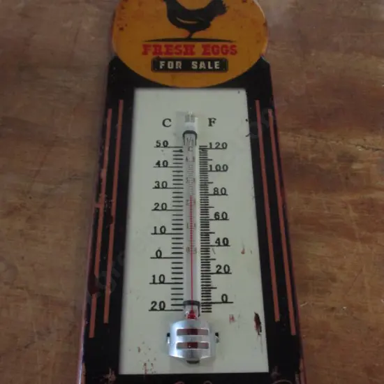 Thermometer