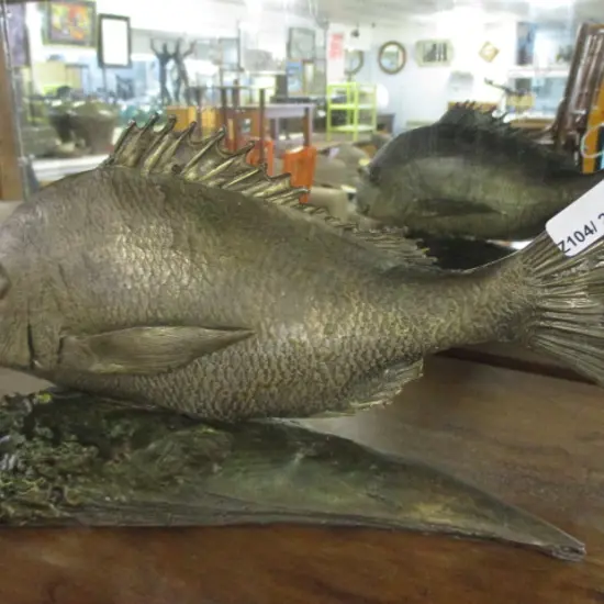 Bronze Fish