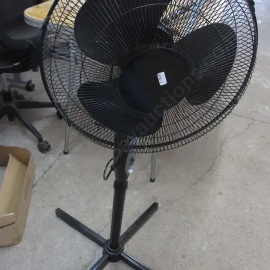 Fan