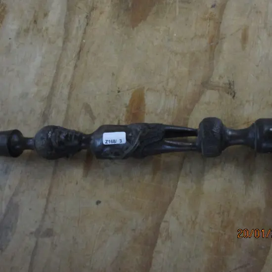 African Walking Stick