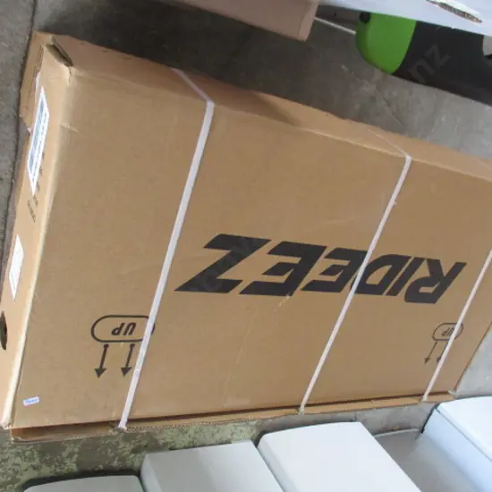 Rideez Electric Bike