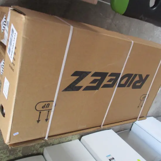 Rideez Electric Bike