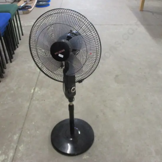 Fan