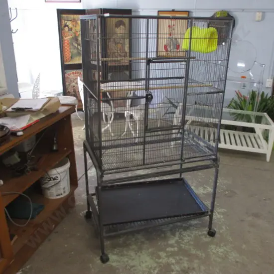 Parrot Cage