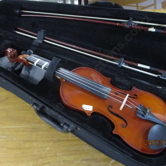 Violin