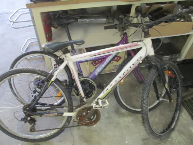 2 Bikes Image 1++