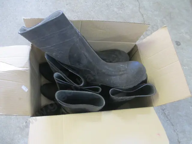 Box Boots Image 1++
