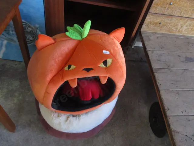 Cat Box Image 1++