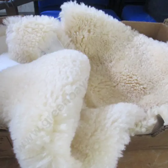Sheepskin