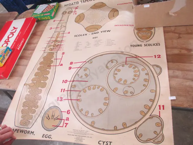 Parasite Poster Image 1++