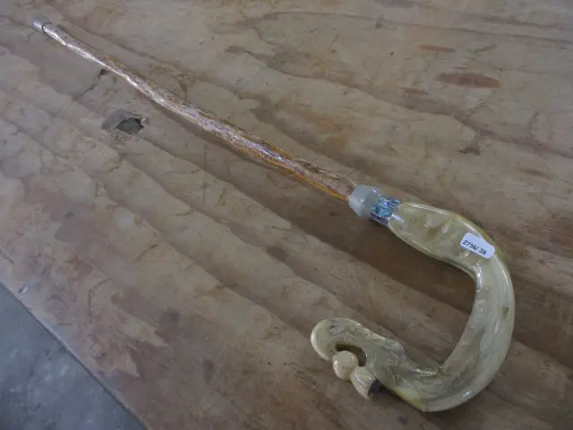 Walking Stick Image 1++