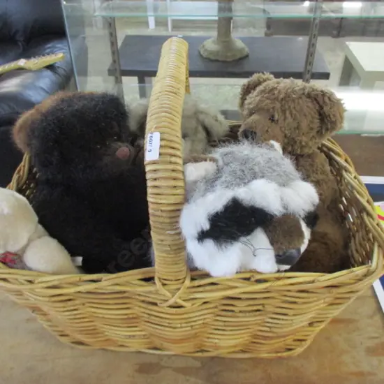 Basket Bears