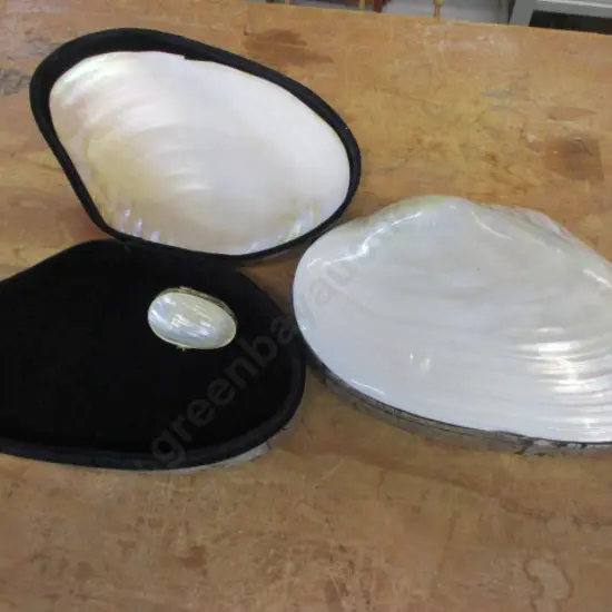 2 Shell Trinket Boxes