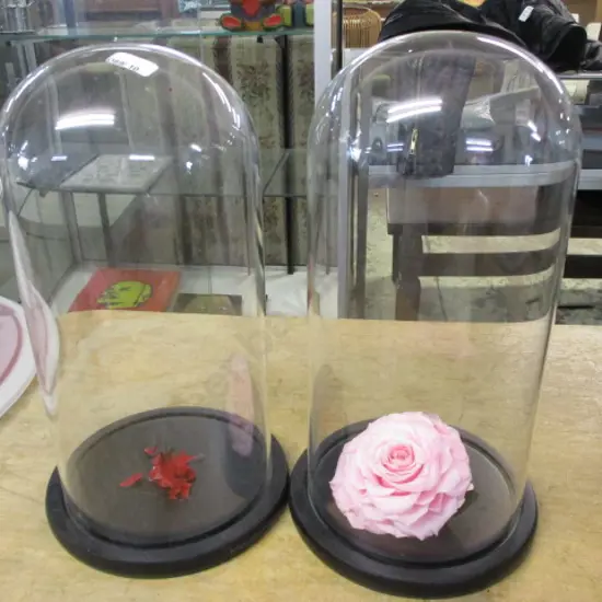 2 Glass Domes