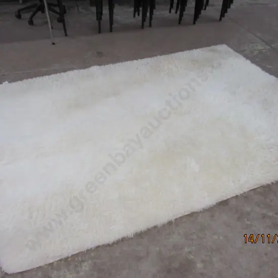 Shaggy Rug
