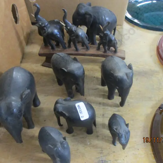 Herd Elephants