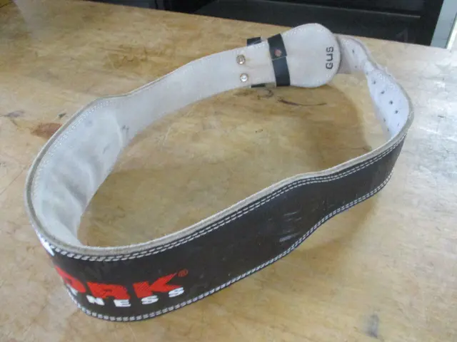Weight Belt Image 1++