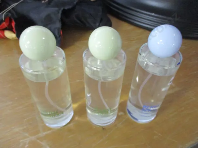 Air Freshener Image 1++