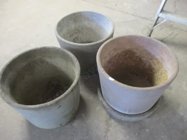 Plant Pots Image 1++