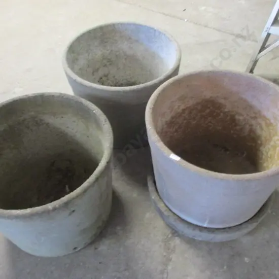 Plant Pots