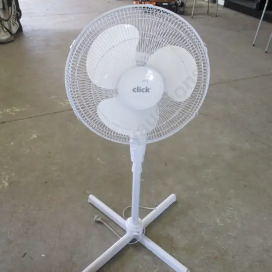 Fan